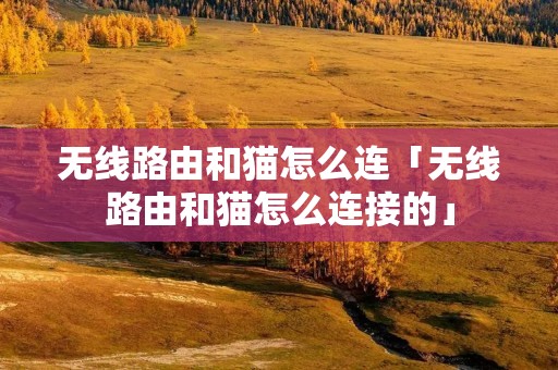 无线路由和猫怎么连「无线路由和猫怎么连接的」