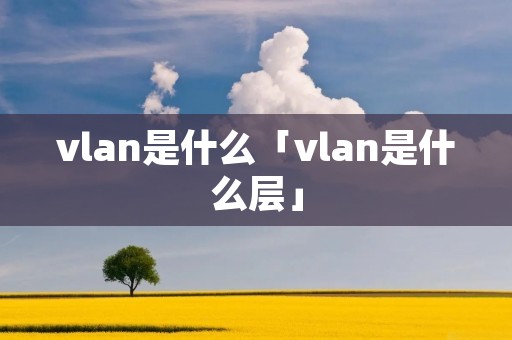 vlan是什么「vlan是什么层」 vlan是什么「vlan是什么层」