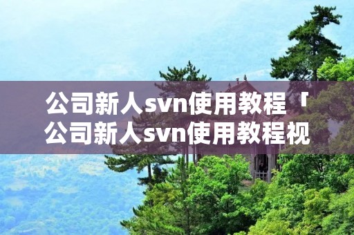 公司新人svn使用教程「公司新人svn使用教程视频」