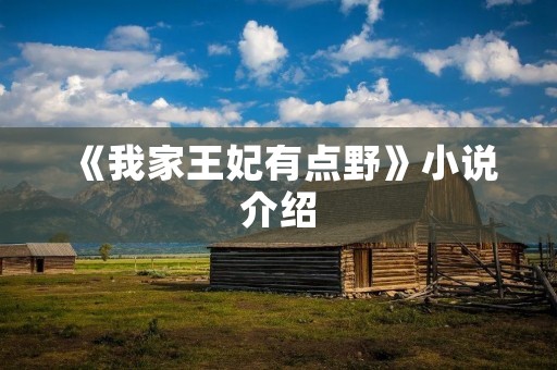 《我家王妃有点野》小说介绍
