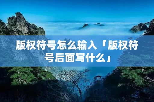 版权符号怎么输入「版权符号后面写什么」