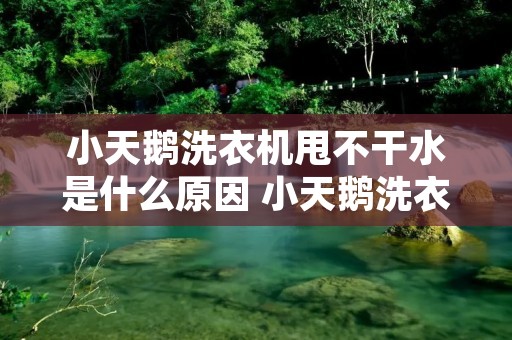 小天鹅洗衣机甩不干水是什么原因 小天鹅洗衣机甩不起来怎么回事