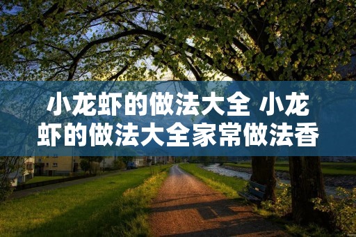 小龙虾的做法大全 小龙虾的做法大全家常做法香辣