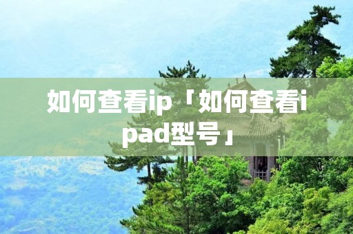 如何查看ip「如何查看ipad型号」