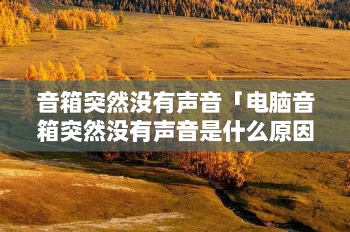 音箱突然没有声音「电脑音箱突然没有声音是什么原因」