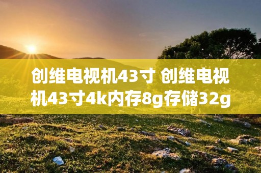 创维电视机43寸 创维电视机43寸4k内存8g存储32g 创维电视机43寸 创维电视机43寸4k内存8g存储32g