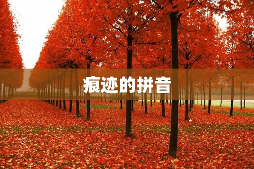 痕迹的拼音:探寻历史的脉络