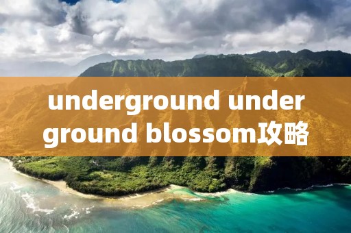 underground underground blossom攻略