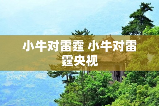 小牛对雷霆 小牛对雷霆央视