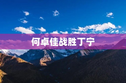 何卓佳战胜丁宁:一个令人惊叹的胜利 何卓佳战胜丁宁:一个令人惊叹的胜利