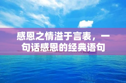 感恩之情溢于言表,一句话感恩的经典语句 感恩之情溢于言表,一句话感恩的经典语句