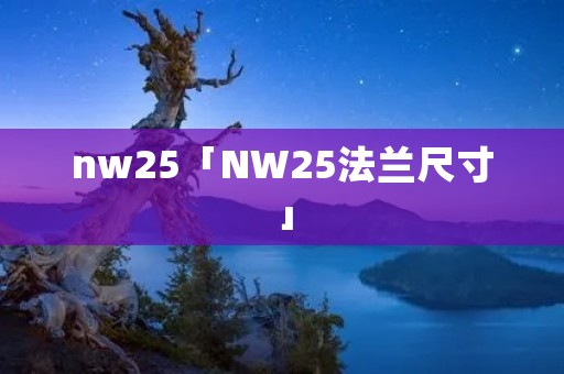 nw25「NW25法兰尺寸」