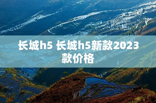 长城h5 长城h5新款2023款价格