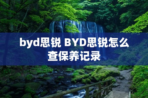 byd思锐 BYD思锐怎么查保养记录 byd思锐 BYD思锐怎么查保养记录