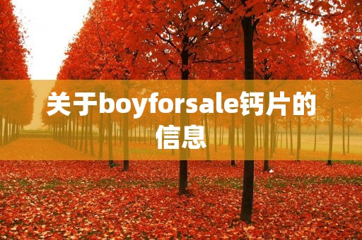 关于boyforsale钙片的信息