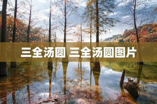 三全汤圆 三全汤圆图片