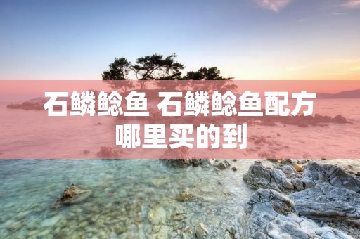 石鳞鲶鱼 石鳞鲶鱼配方哪里买的到
