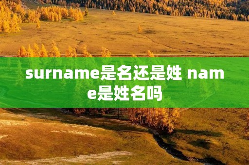 surname是名还是姓 name是姓名吗