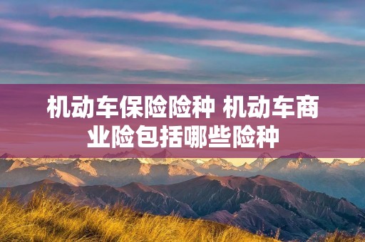 机动车保险险种 机动车商业险包括哪些险种 机动车保险险种 机动车商业险包括哪些险种