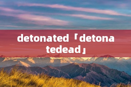detonated「detonatedead」