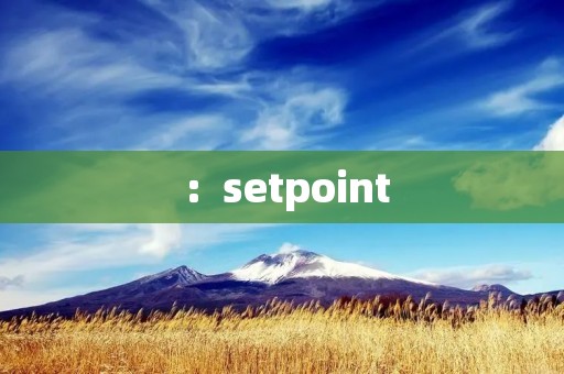 ：setpoint：探索控制理论中的关键概念