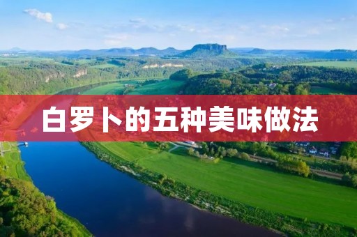 白罗卜的五种美味做法 白罗卜的五种美味做法
