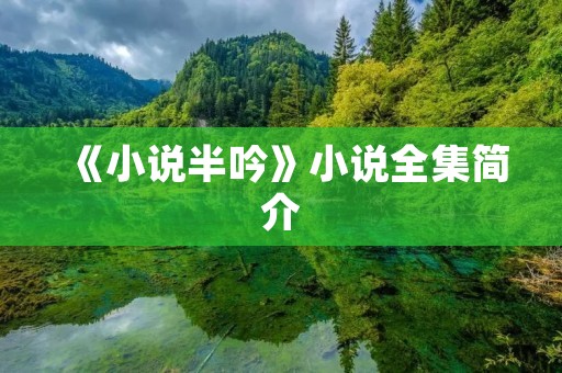 《小说半吟》小说全集简介
