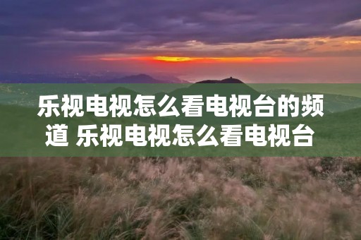 乐视电视怎么看电视台的频道 乐视电视怎么看电视台的频道视频