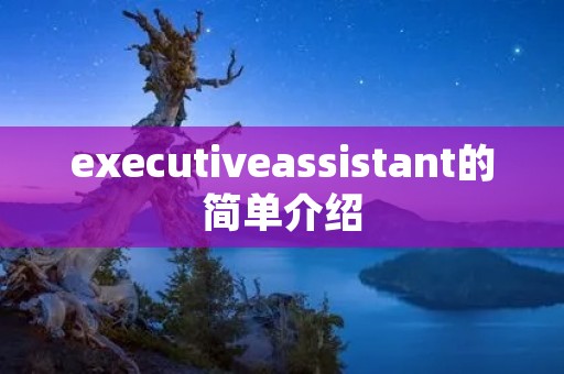 executiveassistant的简单介绍