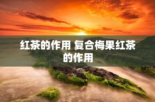 红茶的作用 复合梅果红茶的作用