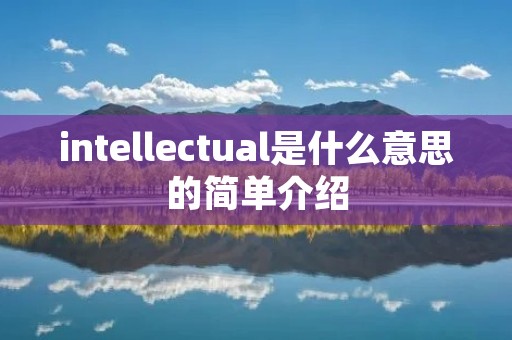intellectual是什么意思的简单介绍