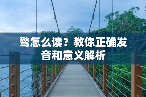 骛怎么读?教你正确发音和意义解析