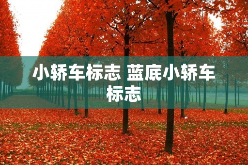 小轿车标志 蓝底小轿车标志