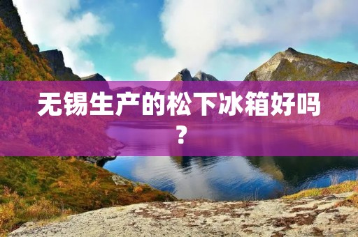 无锡生产的松下冰箱好吗？