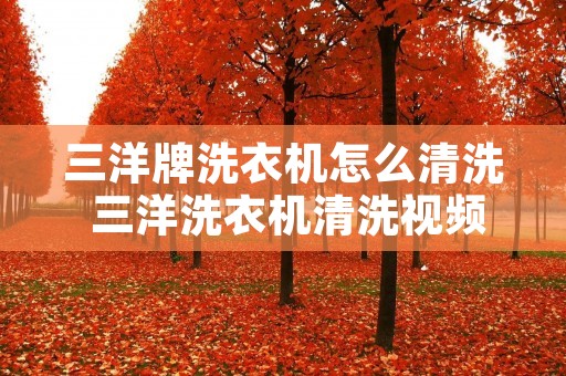 三洋牌洗衣机怎么清洗 三洋洗衣机清洗视频教程