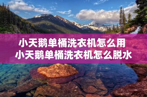 小天鹅单桶洗衣机怎么用 小天鹅单桶洗衣机怎么脱水