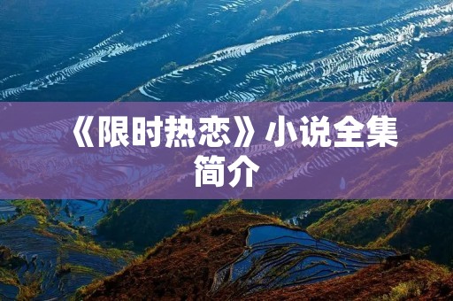 《限时热恋》小说全集简介