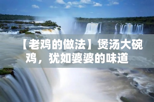 【老鸡的做法】煲汤大碗鸡，犹如婆婆的味道