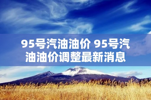 95号汽油油价 95号汽油油价调整最新消息