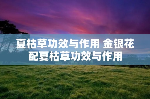 夏枯草功效与作用 金银花配夏枯草功效与作用 夏枯草功效与作用 金银花配夏枯草功效与作用