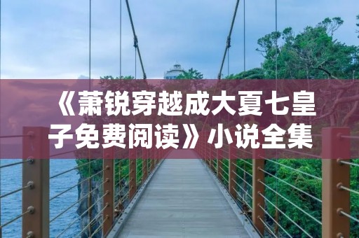 《萧锐穿越成大夏七皇子免费阅读》小说全集简介