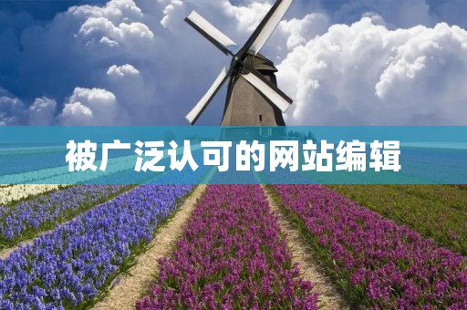 被广泛认可的网站编辑:为什么他们在行业中如此重要? 被广泛认可的网站编辑:为什么他们在行业中如此重要?