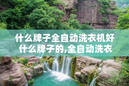 什么牌子全自动洗衣机好 什么牌子的,全自动洗衣机,好一些