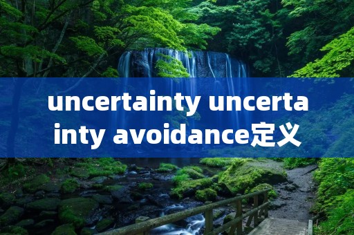 uncertainty uncertainty avoidance定义