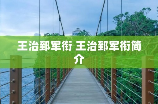 王治郅军衔 王治郅军衔简介 王治郅军衔 王治郅军衔简介