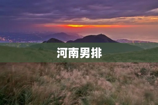 河南男排：夺冠之路再起航