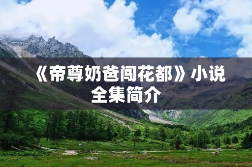 《帝尊奶爸闯花都》小说全集简介