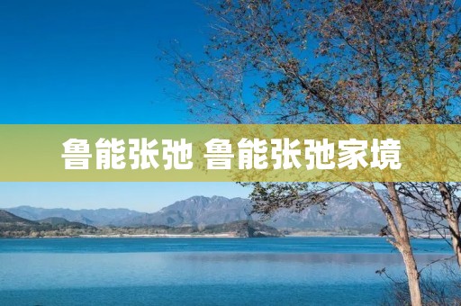 鲁能张弛 鲁能张弛家境 鲁能张弛 鲁能张弛家境