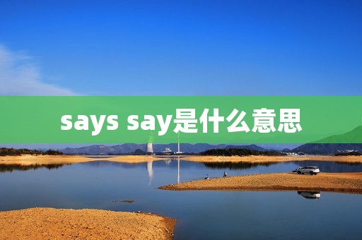 says say是什么意思