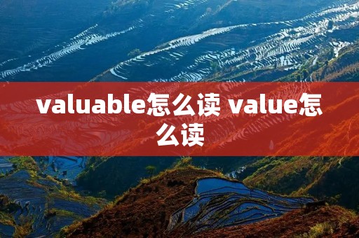 valuable怎么读 value怎么读